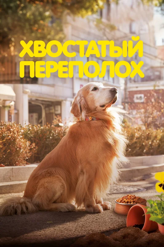 Смотрите дораму Хвостатый переполох