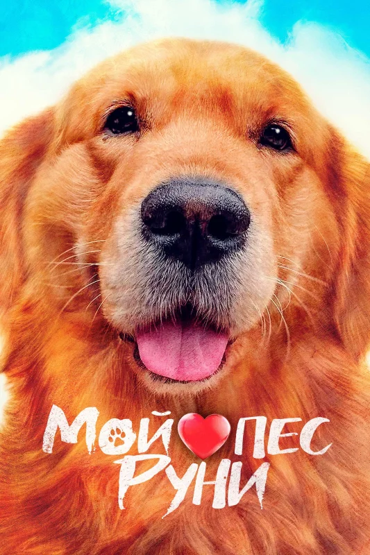 Смотрите дораму Мой пёс Руни