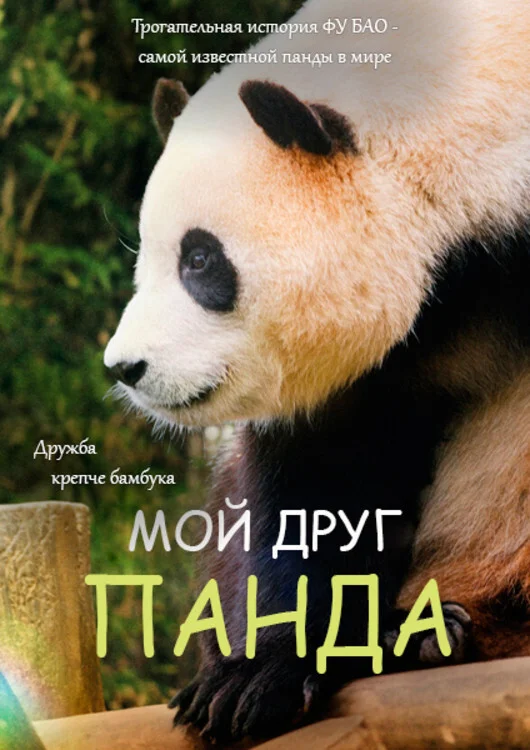 Смотрите дораму Мой друг панда