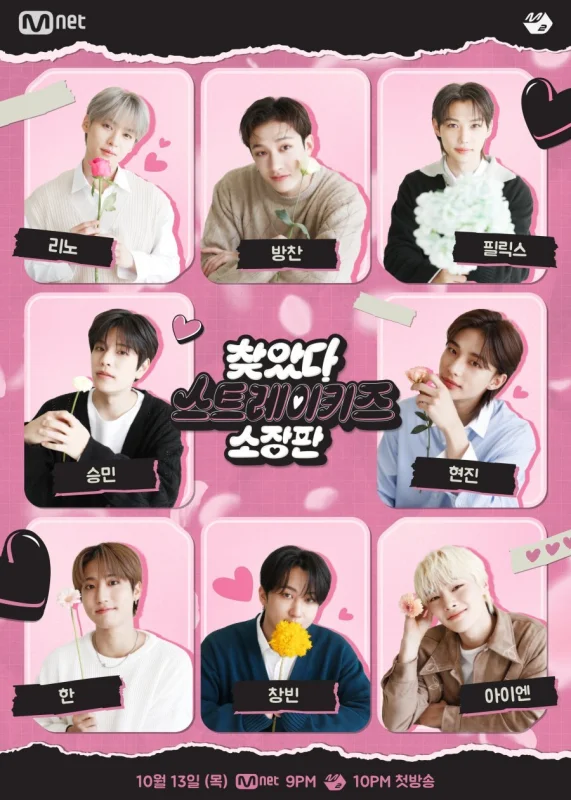 Смотрите дораму В поисках Stray Kids